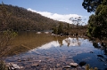 Mount Field National Park